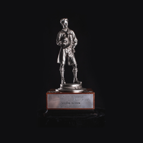 2018 Construction Good Scout Award