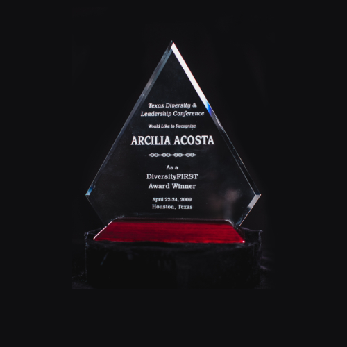 2009 DiversityFIRST Award