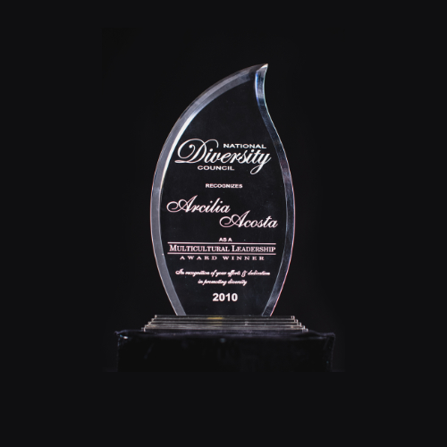 2004 Greater Dallas Hispanic Chamber of Congress Chairwoman