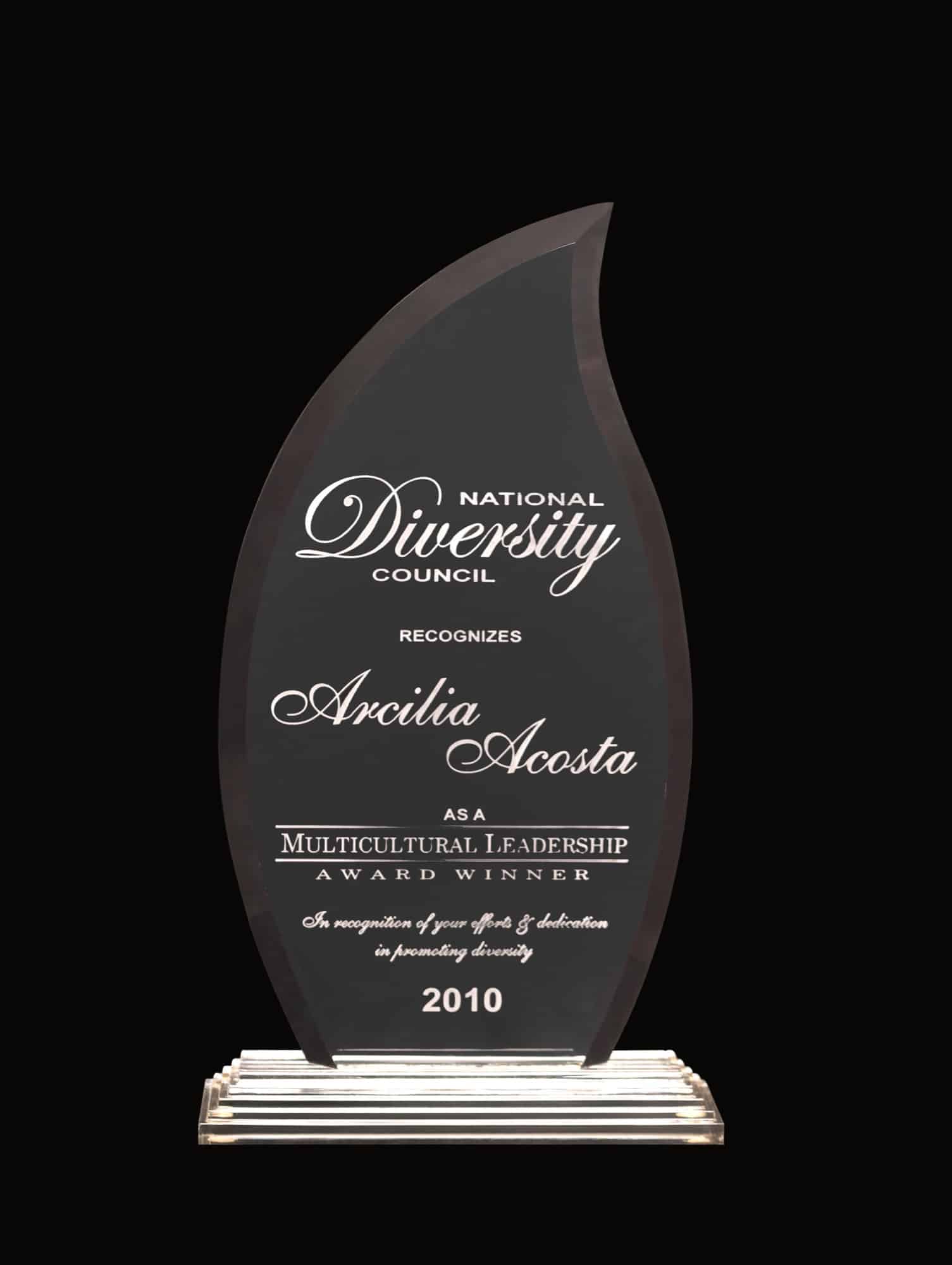 National Diversity Council Multicultural Leadership Award (2010)